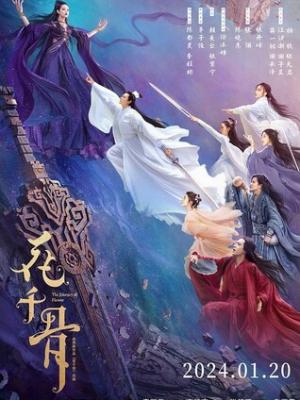 视频卡片